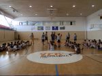 American Basketball Camp